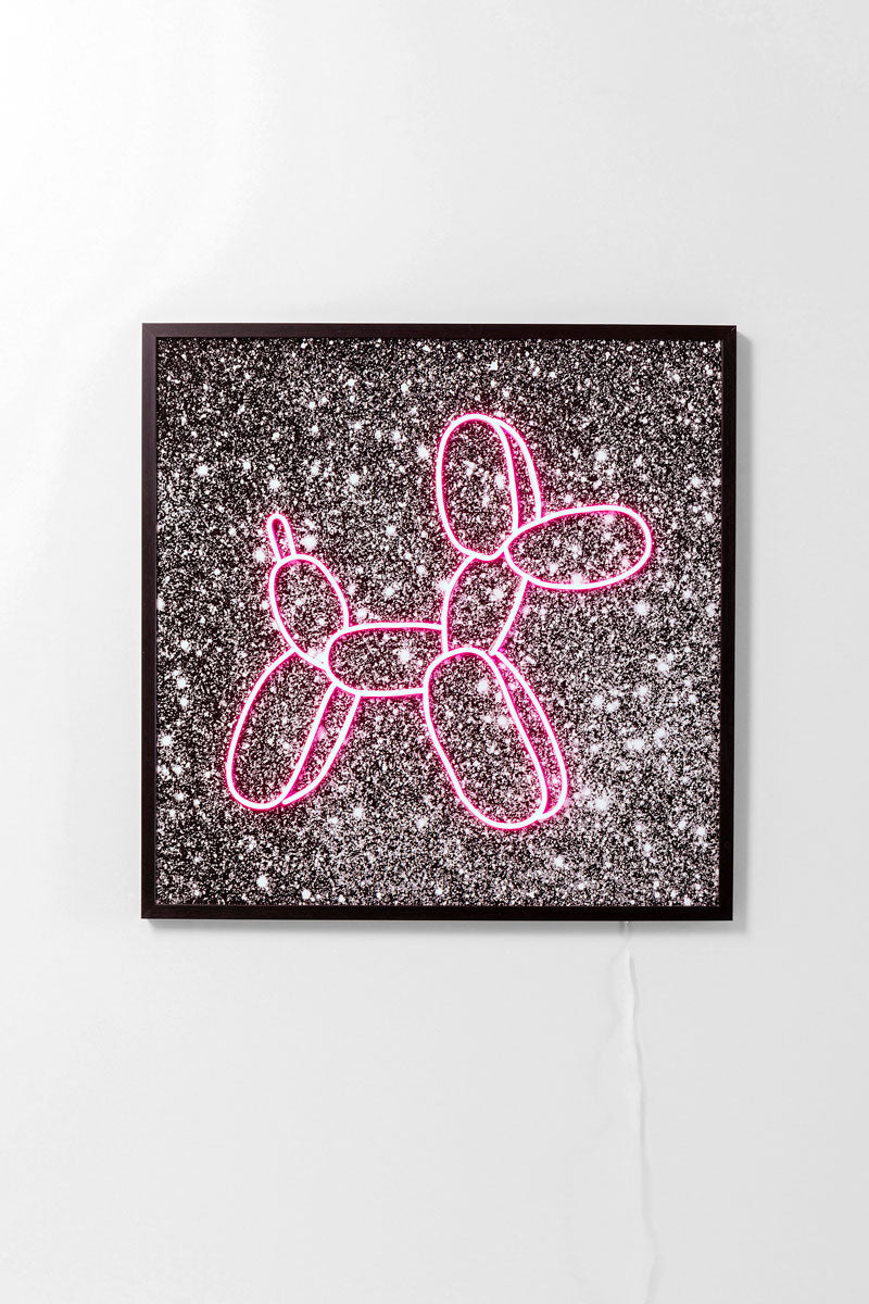 Balloon dog LED galleri