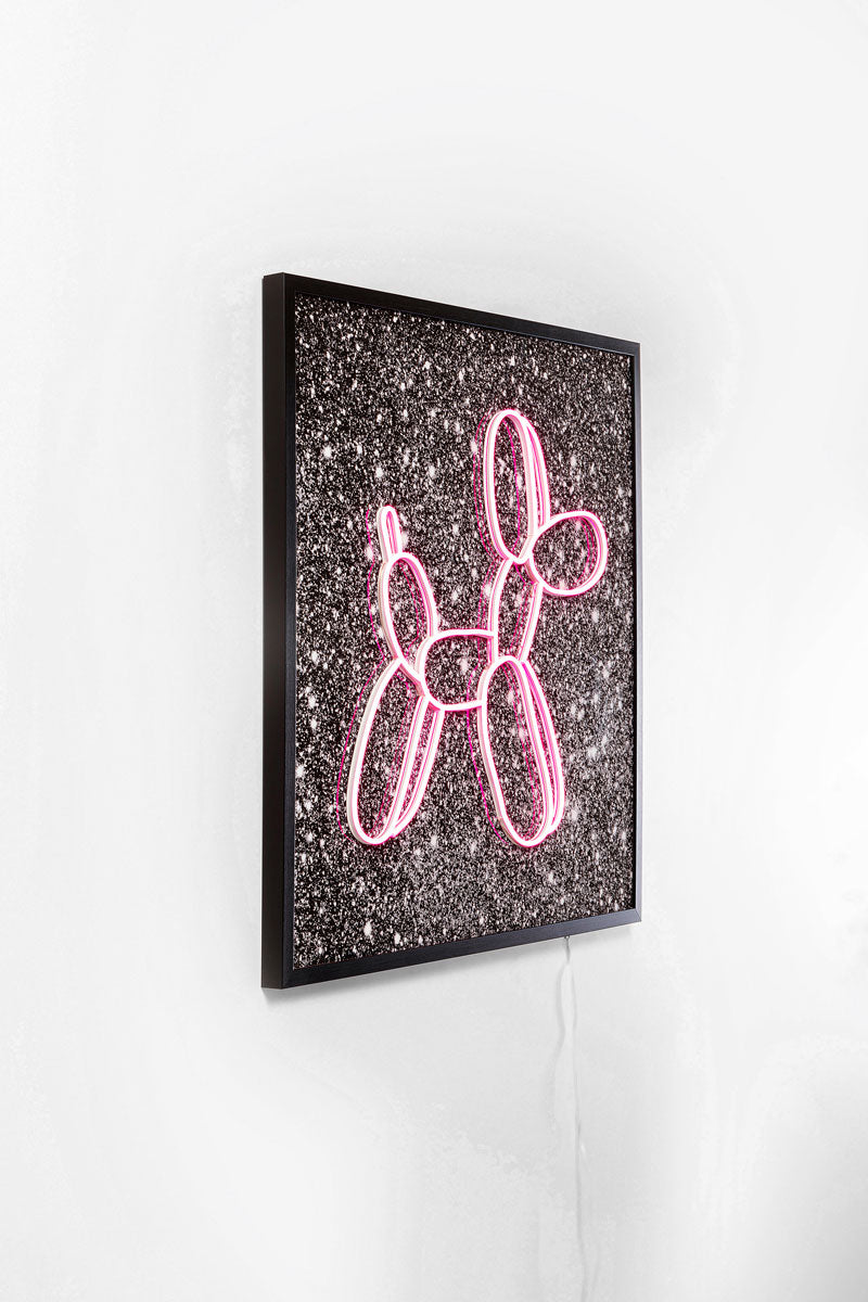 Balloon dog LED galleri