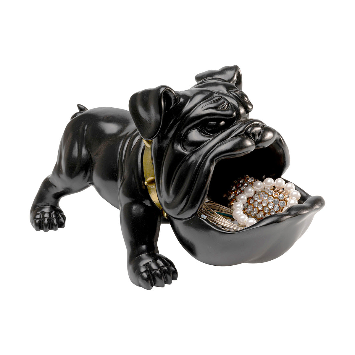 Hungry dog, sort