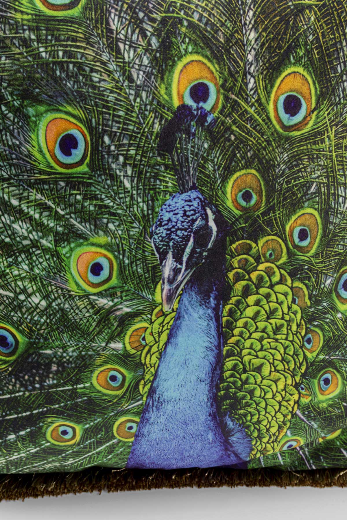 Peacock pyntepude
