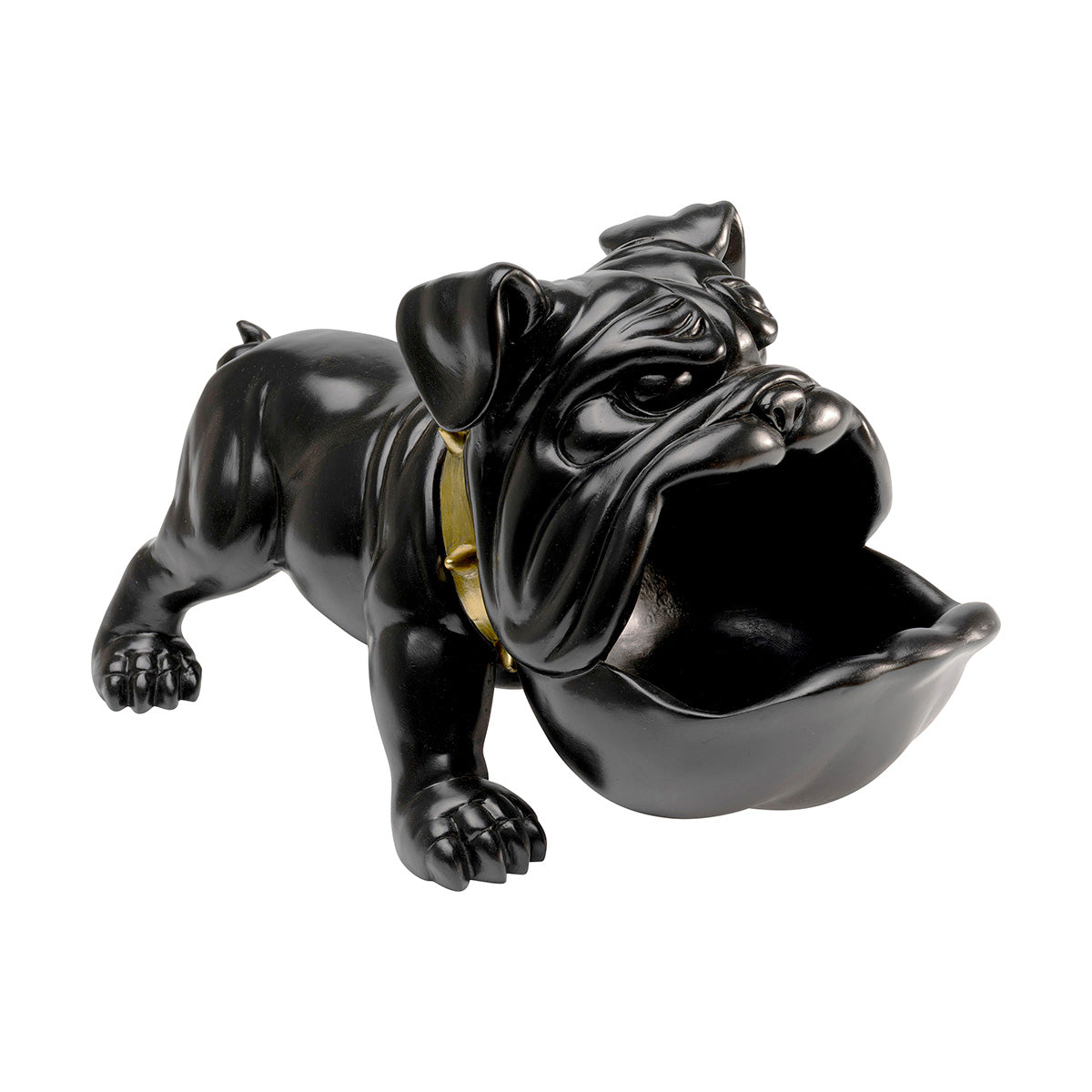 Hungry dog, sort