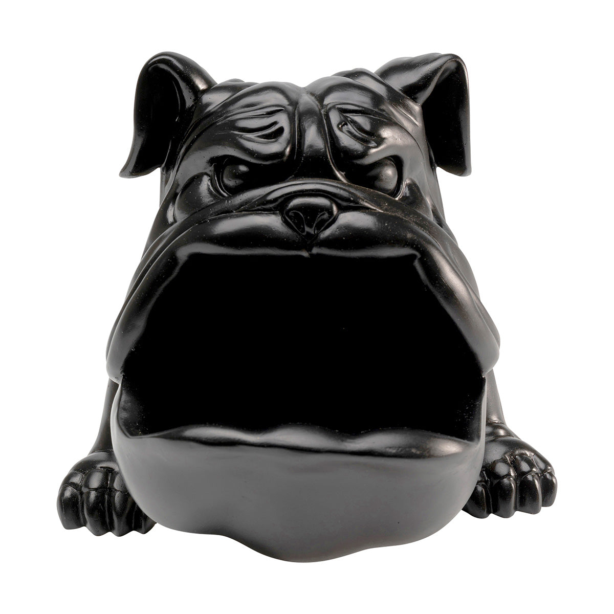 Hungry dog, sort