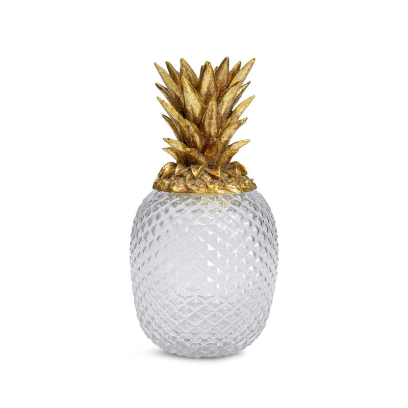 Ananas glaskrukke