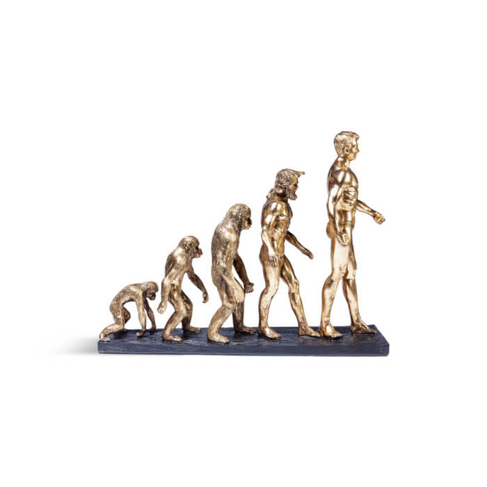 Evolution deco figur